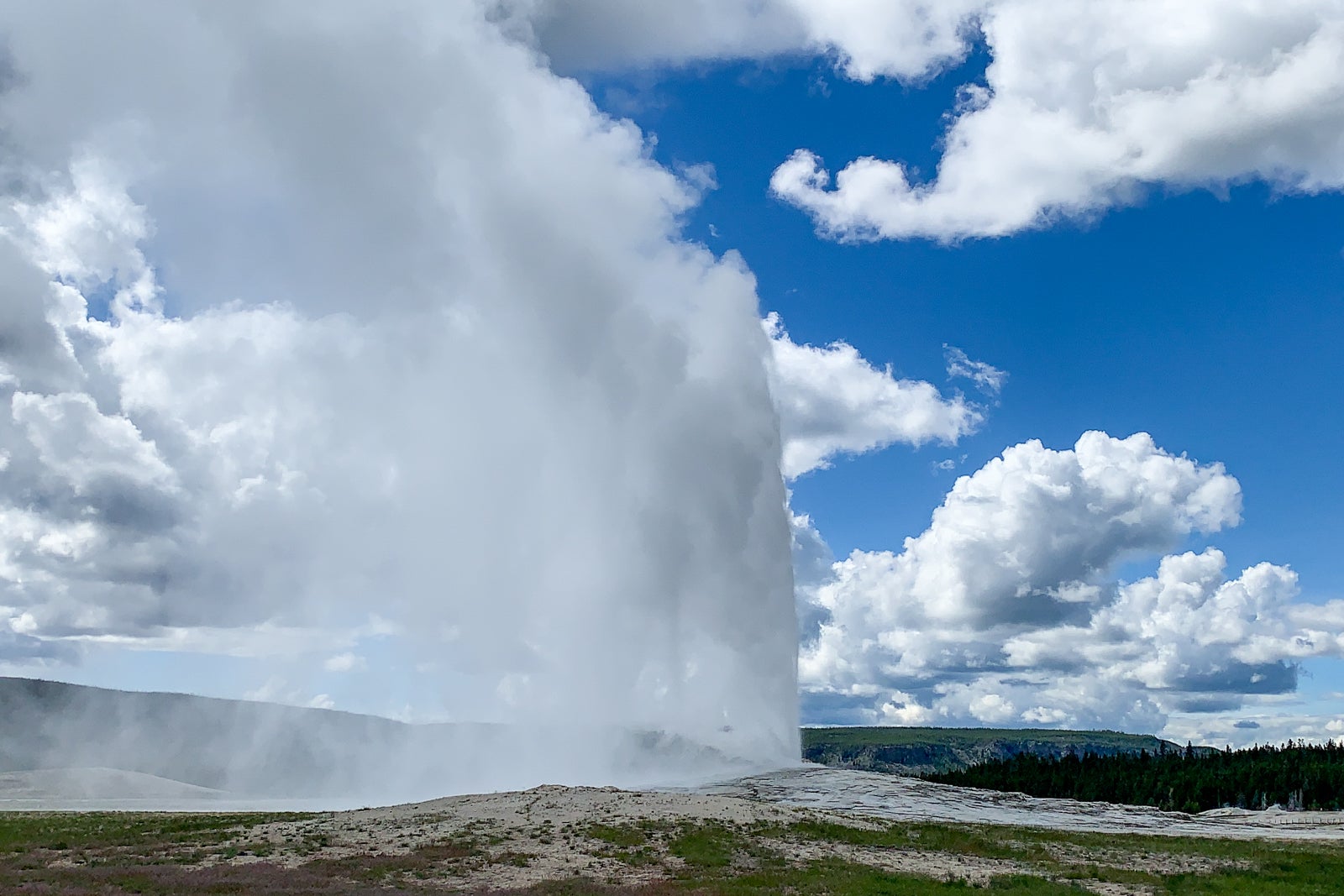 guided tour to yellowstone national park