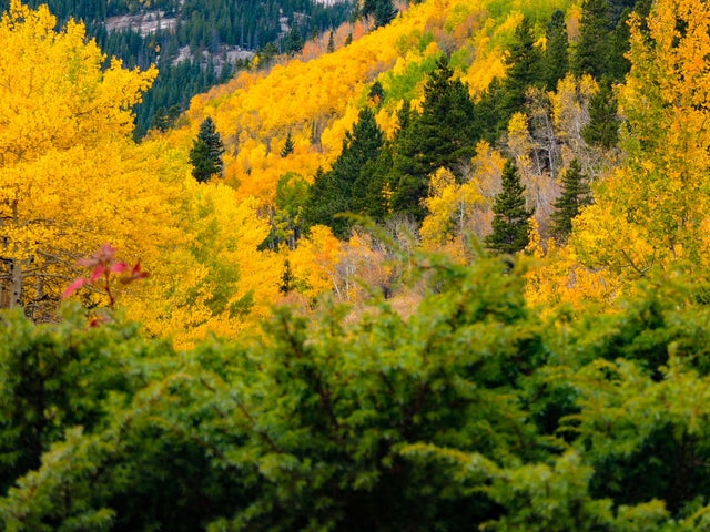 Guide to visiting Rocky Mountain National Park - The Points Guy