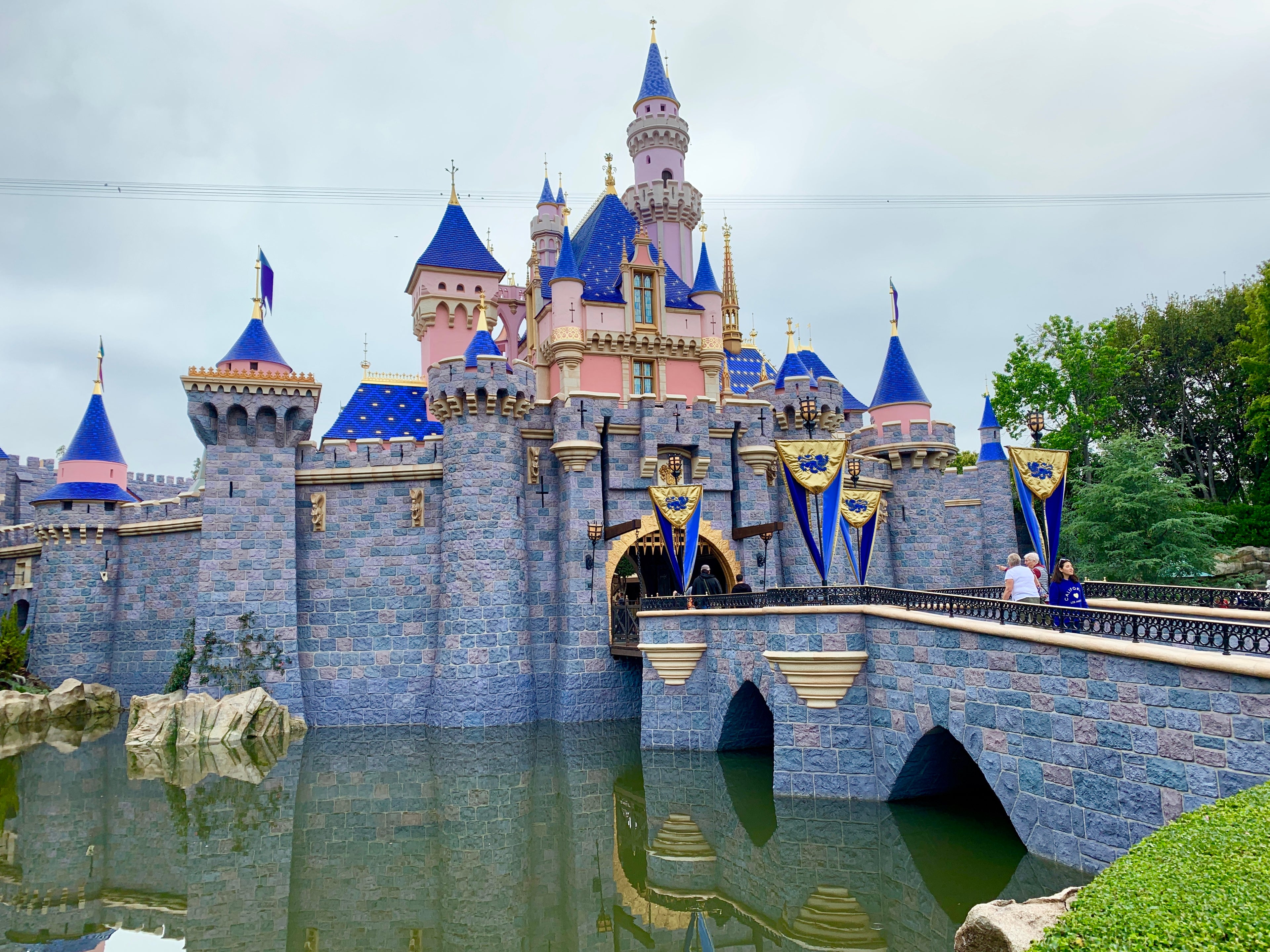 Disneyland Castle