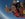 skydiving in New Zealand, a trip that I paid with my Amex / chase points points