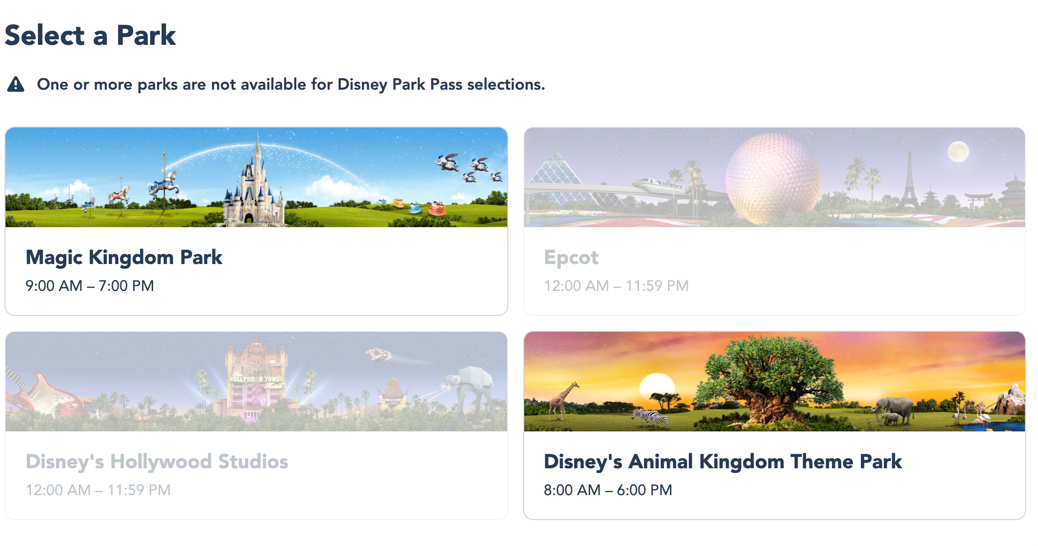 Disney Theme Park Reservations