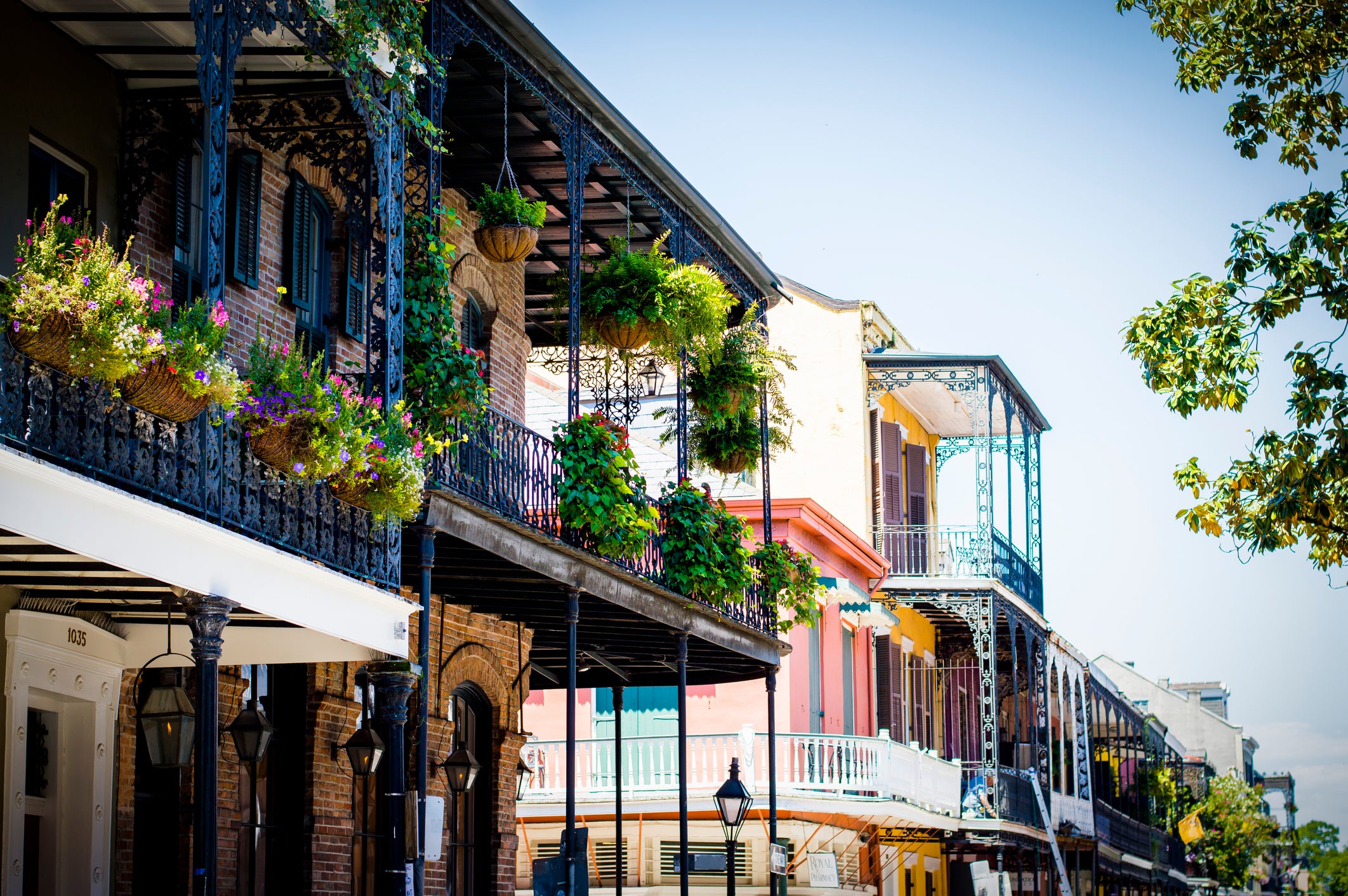 what carnival cruise ships sail out of new orleans