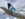 Frontier's 100th aircraft -- an Airbus A320 neo -- features "Chinook the Gray Wolf" on its tail. Chinook, according to Frontier, was a female wolf-dog hybrid rescued in the 1990s. (Image courtesy of Frontier Airlines)