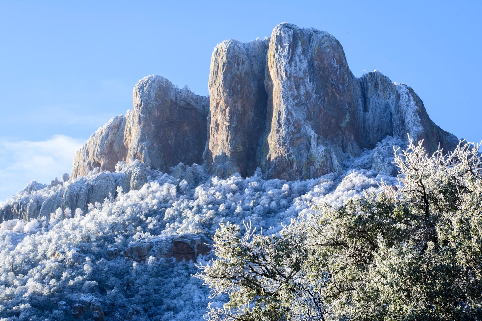 Big Bend. (Foto di Matthew A. Barrett/Getty Images)