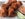 Conch fritters Bahamas