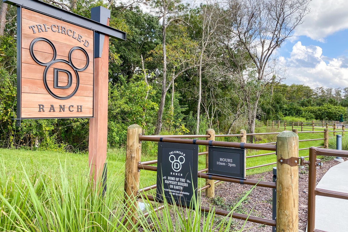 8 Walt Disney World experiences that don't require a park ticket The