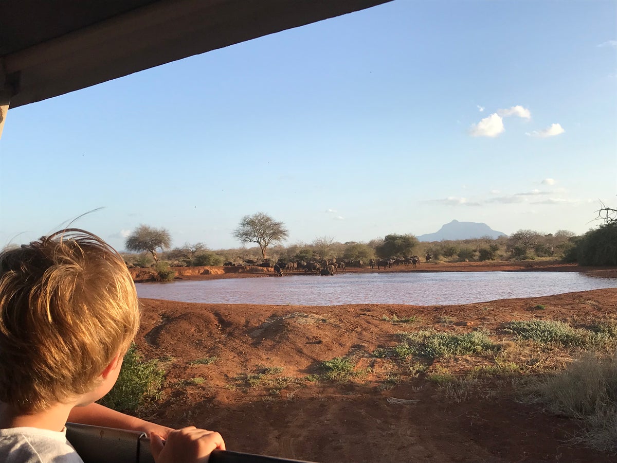 How to Take a ChildFriendly African Safari The Points Guy