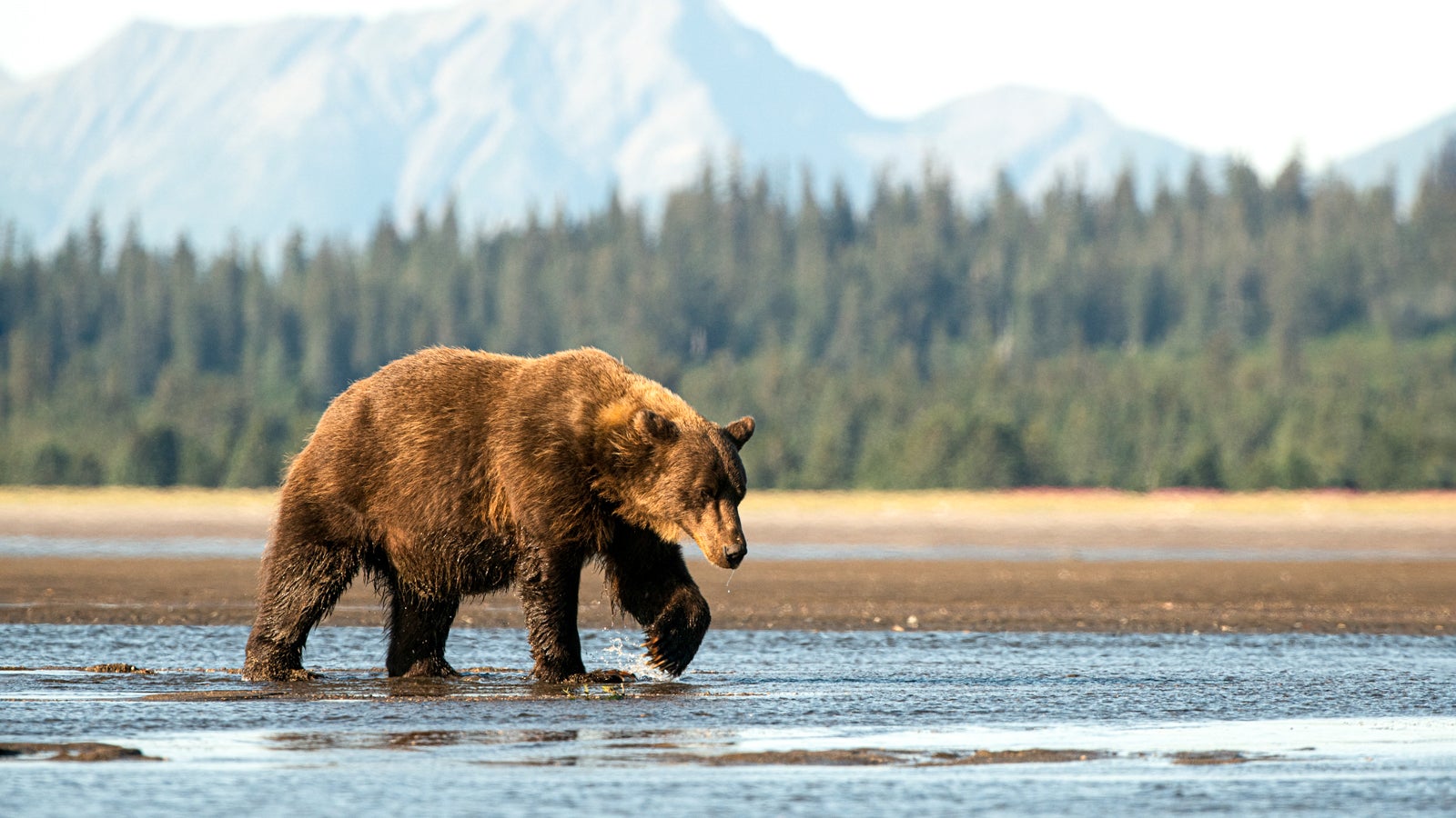 The Last Frontier is wide open: Alaska's COVID state of emergency has expired
