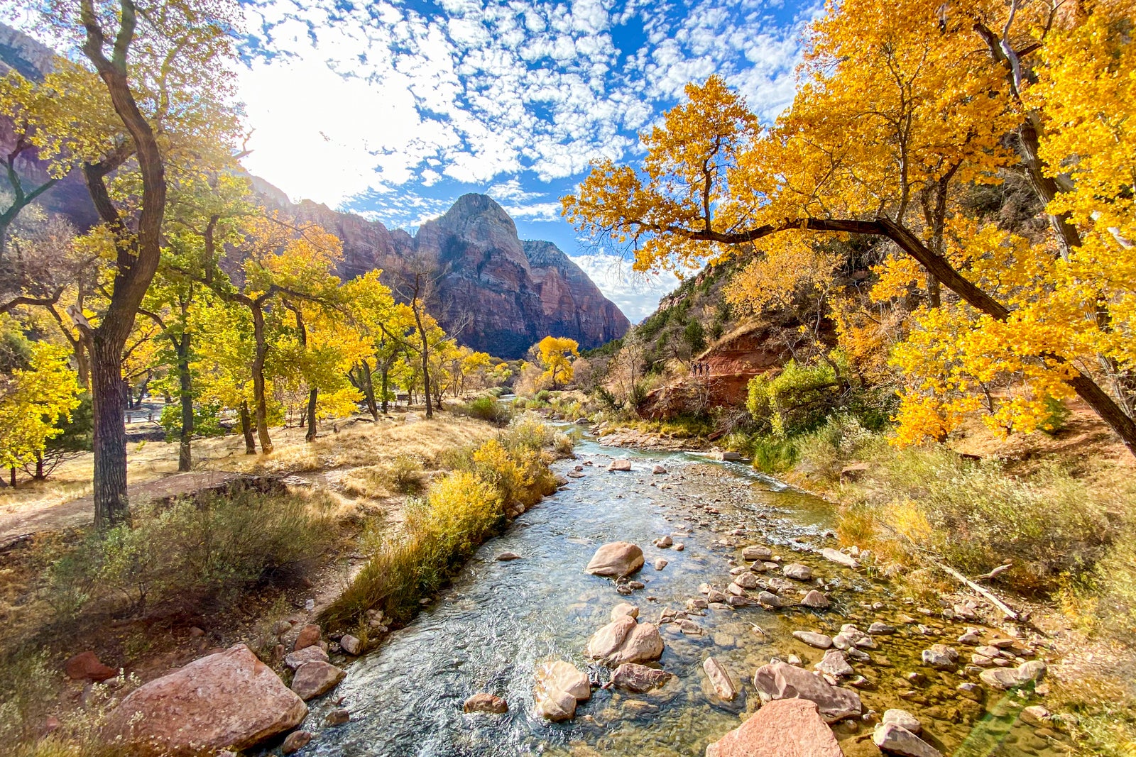 Zion narrows in clearance march