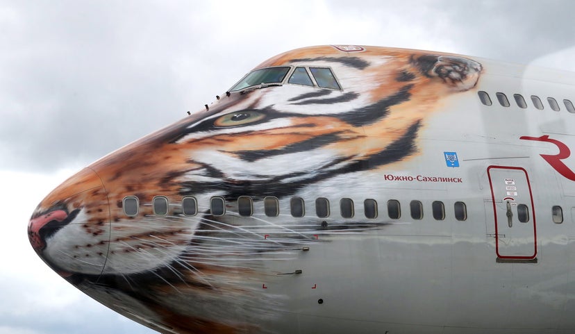 18 airline liveries that will catch any AvGeek’s eye - The Points Guy