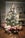 Strebel Christmas