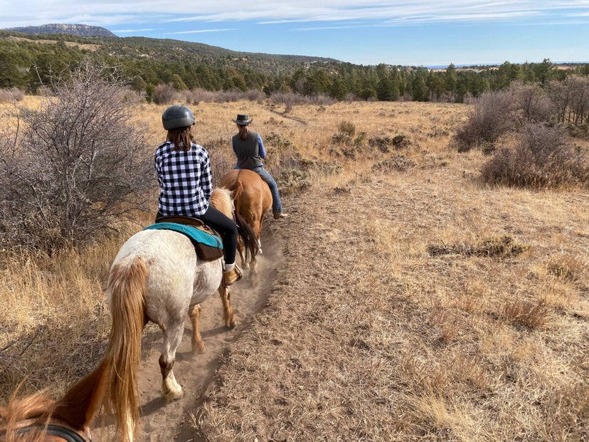 Complete guide to visiting Zion National Park The Points Guy