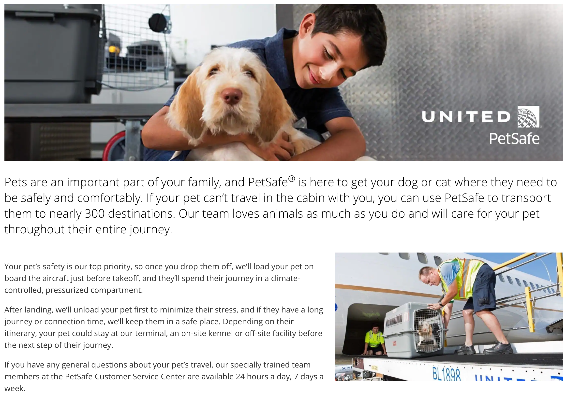 United becomes the final 'Big 3' airline to ban emotional support animals -  The Points Guy