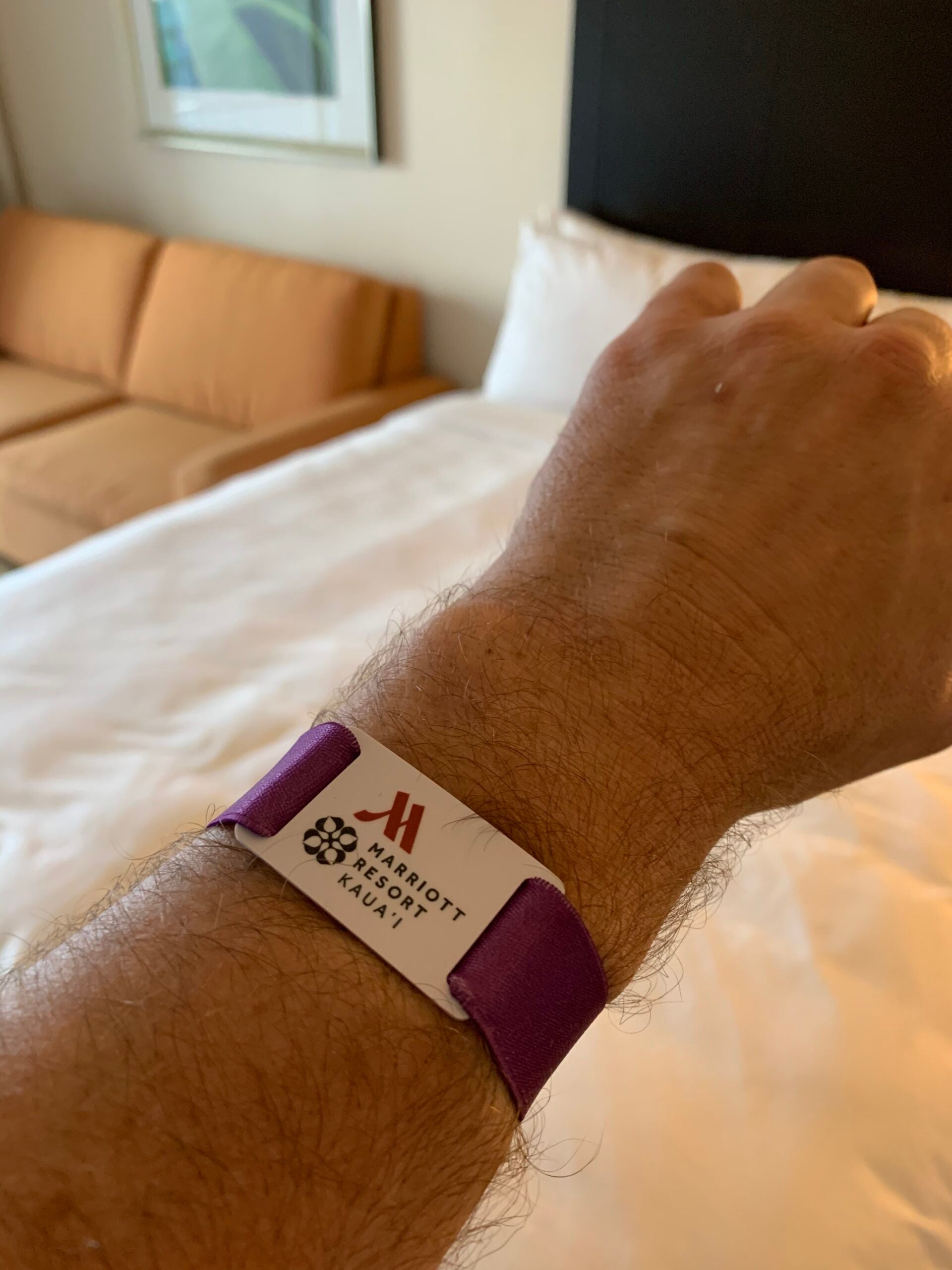 Why are Room Access Bracelets Popular in Resort Hotel Industry