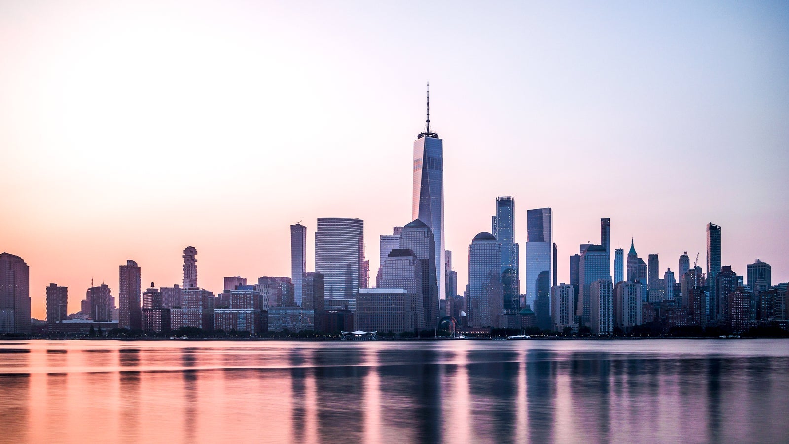 TPG-Hub-Pages_New-York-City_Darwin-Fan