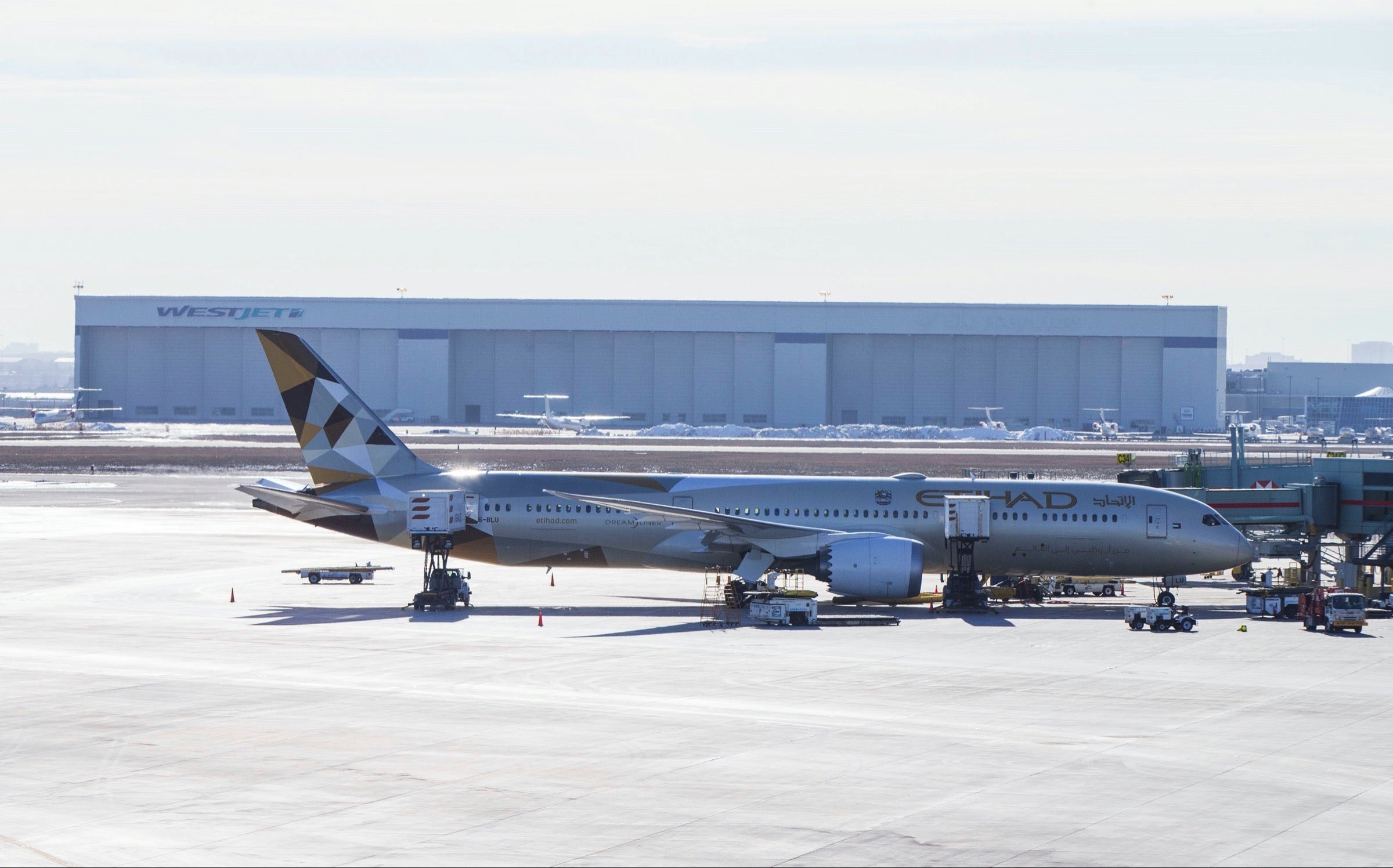 Everything you need to know about Etihad Guest, with new partner charts