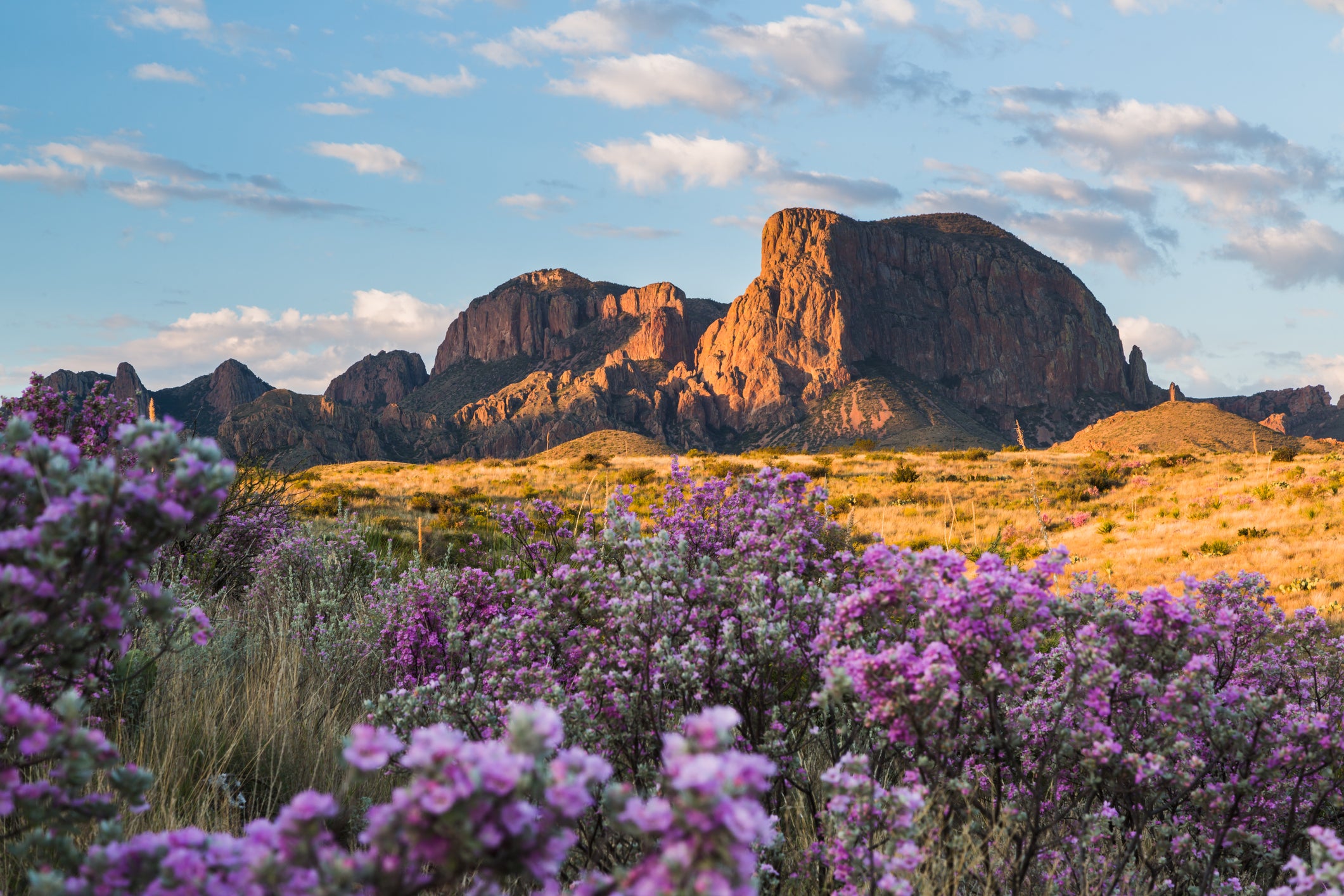 A beginner’s guide to visiting Big Bend National Park Everything you