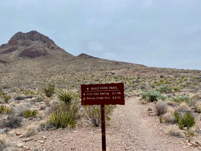 A beginner’s guide to visiting Big Bend National Park Everything you