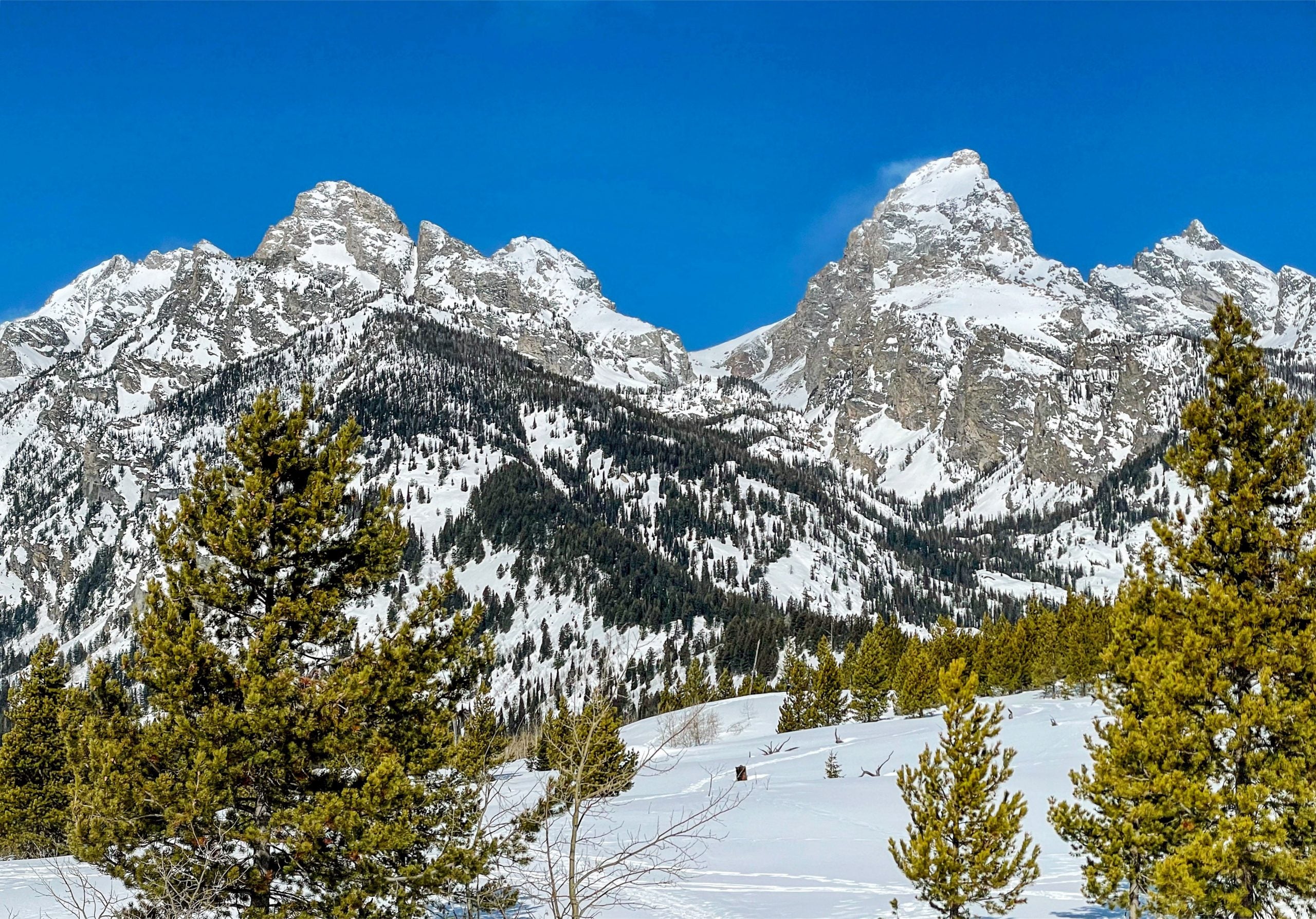 スプリング 冬景色 Teton winter - インテリア小物