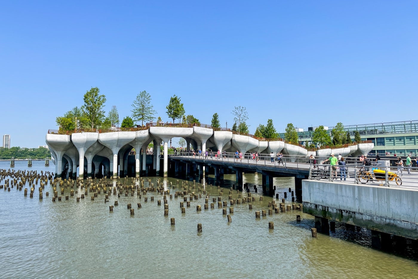 First look New York City's muchanticipated 'floating' park