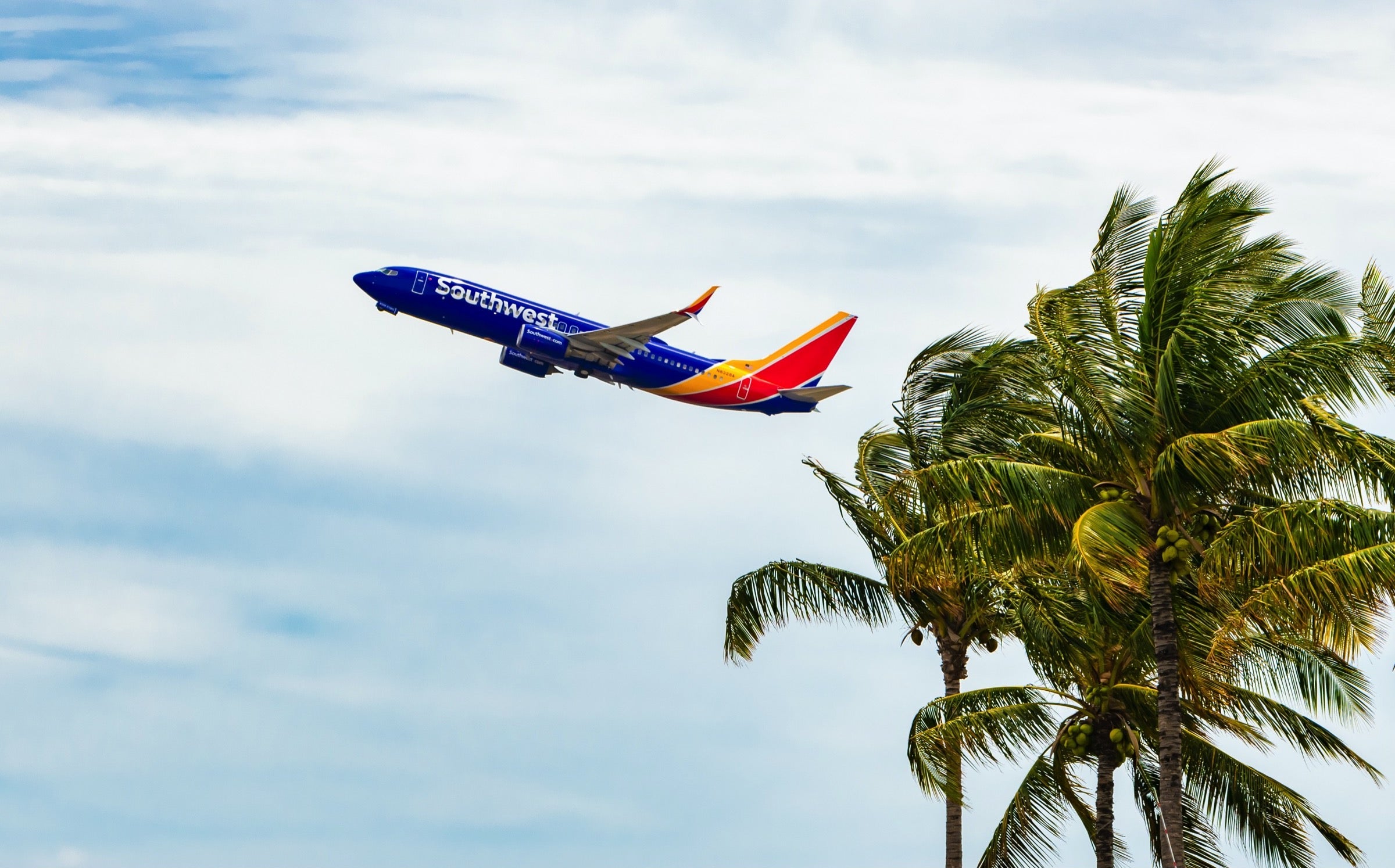 Southwest plane flying over a palm tree in Hawaii
