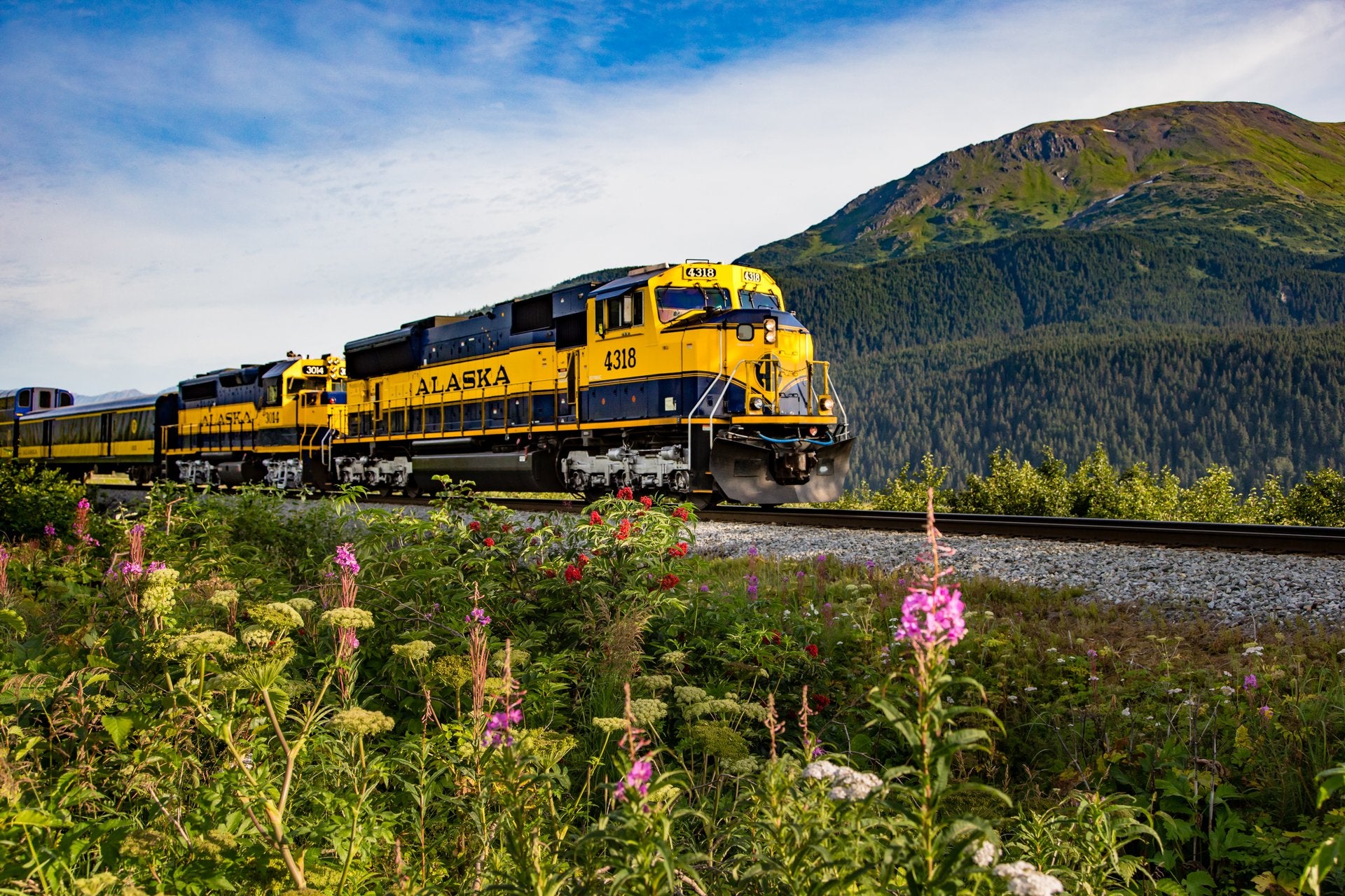 Alaska Railroad train in Alaska.