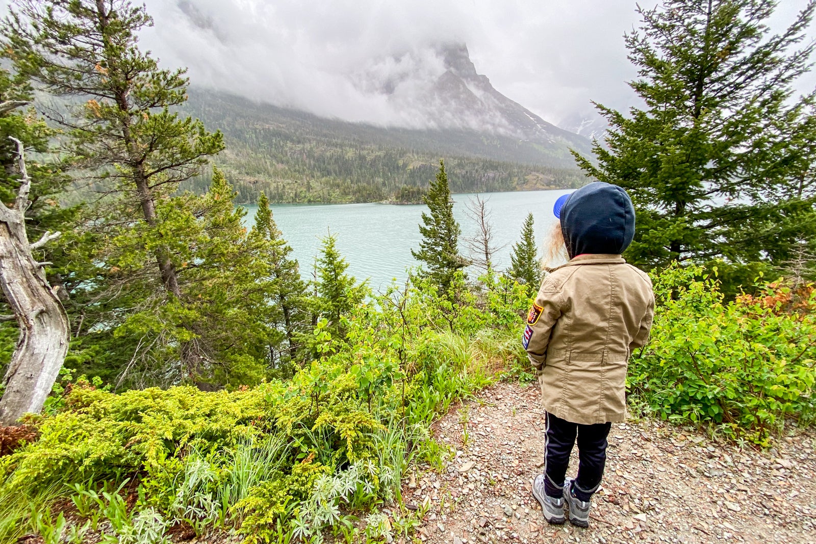 Glacier National Park Beginners Guide