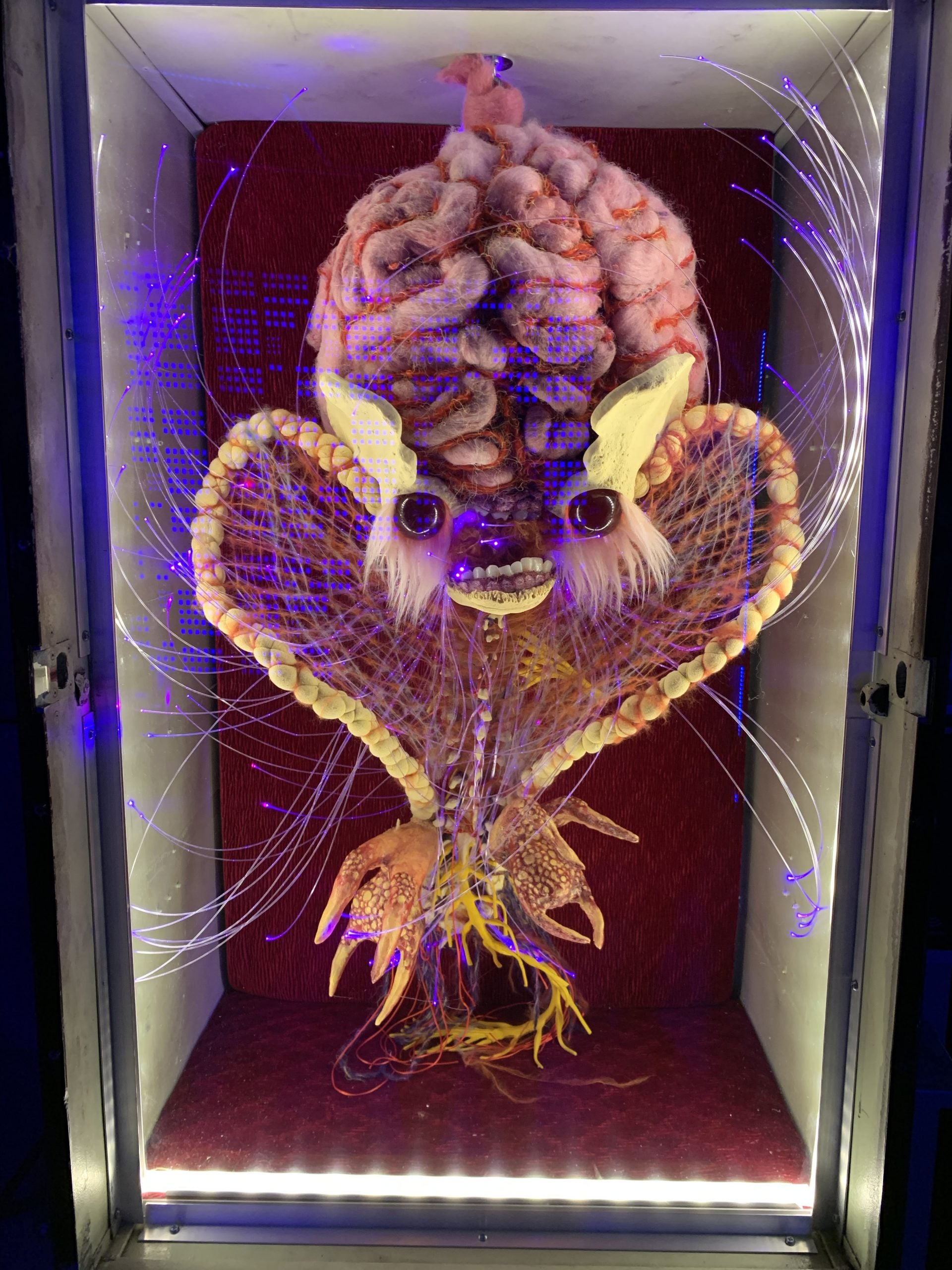 A review of the BrewDog DogHouse in Columbus, Ohio The Points Guy