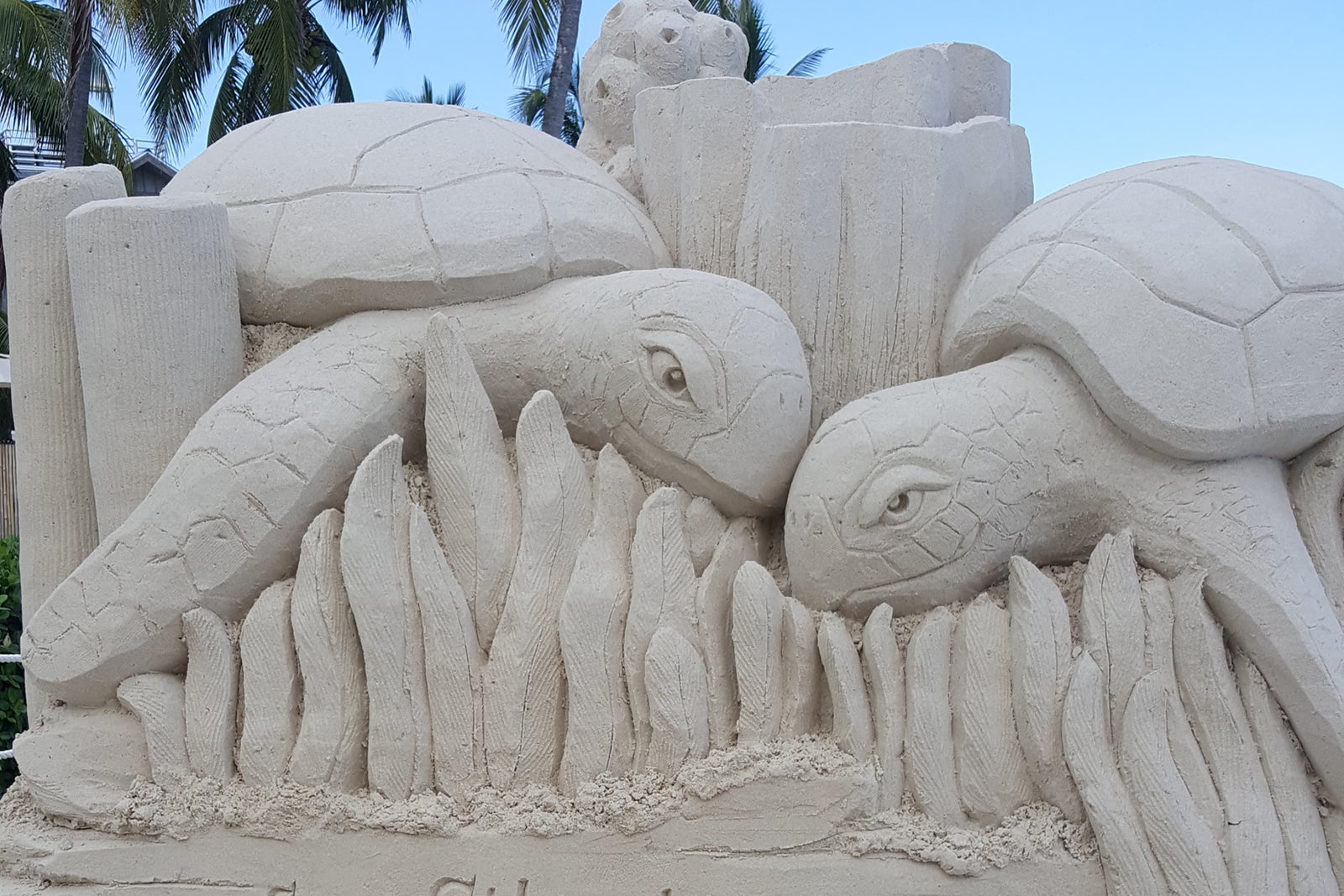 turtles sandcastle