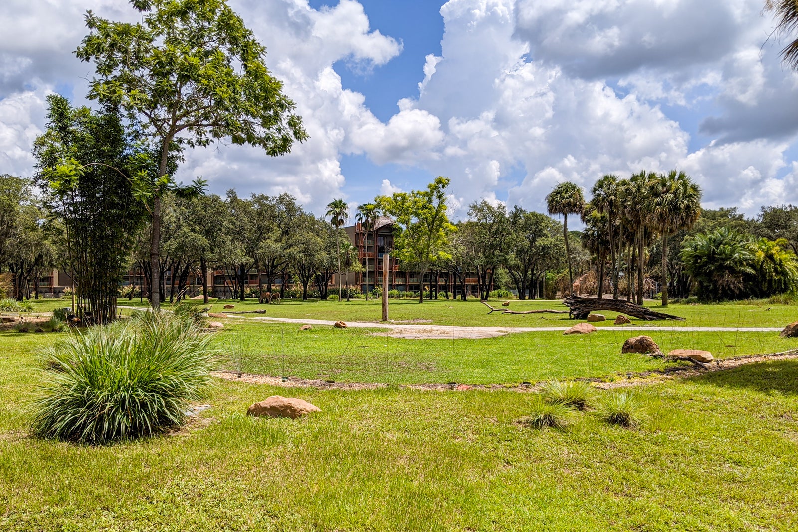 restauranger i närheten av Disney ' s Animal Kingdom Kidani Village