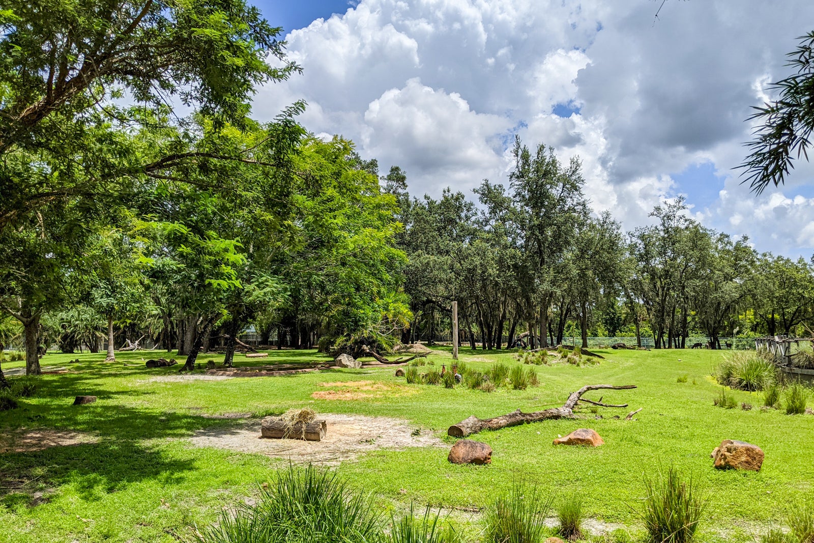 Animal Kingdom da Disney Kidani Village