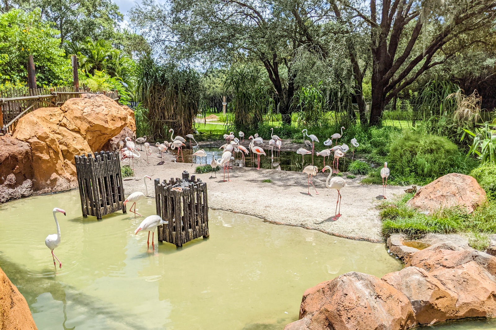 Restauranter I Nærheten Av Disney 'S Animal Kingdom Jambo House