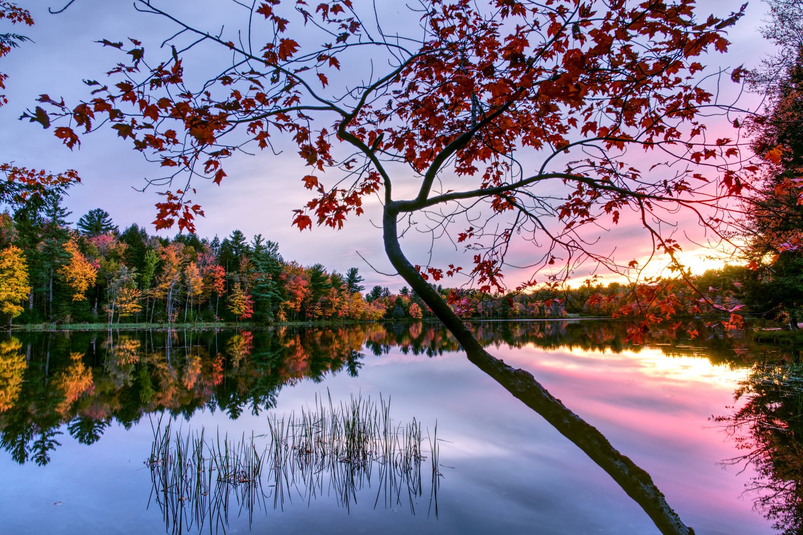 Scenic View Of Lake Against Sky During Autumn