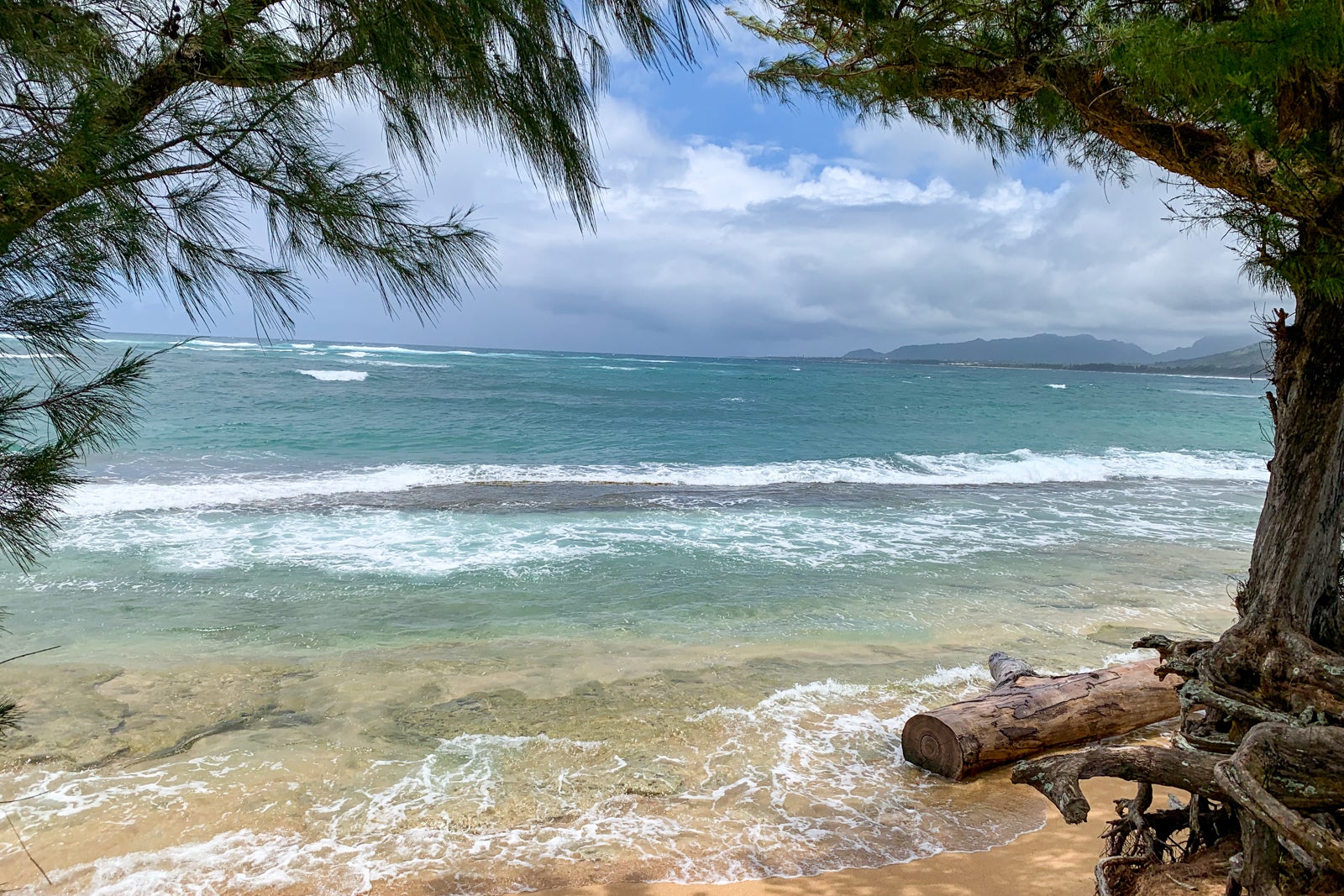 True aloha spirit at the Sheraton Kauai Coconut Beach Resort The