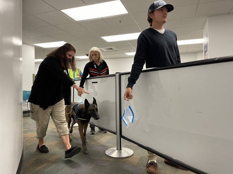 COVID-sniffing dogs at MIA can detect the virus from masks. Courtesy MIA Airport