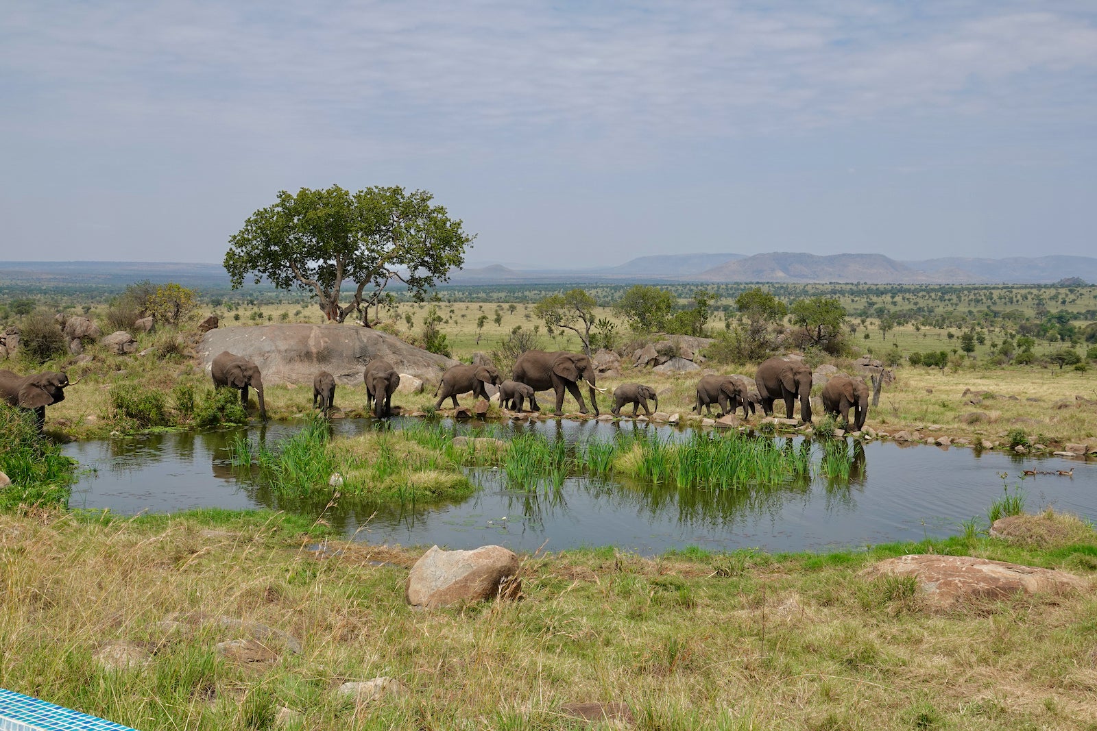 Four Seasons Safari Lodge Serengeti Tanzania