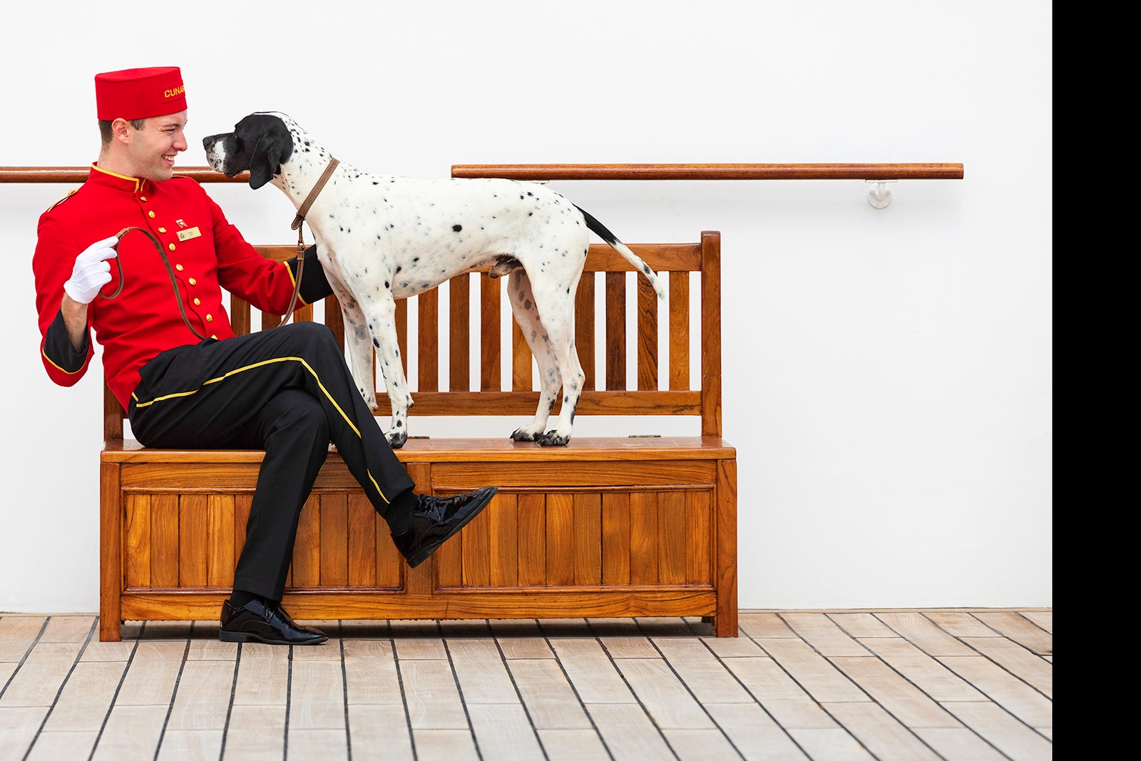 cruise with service dog