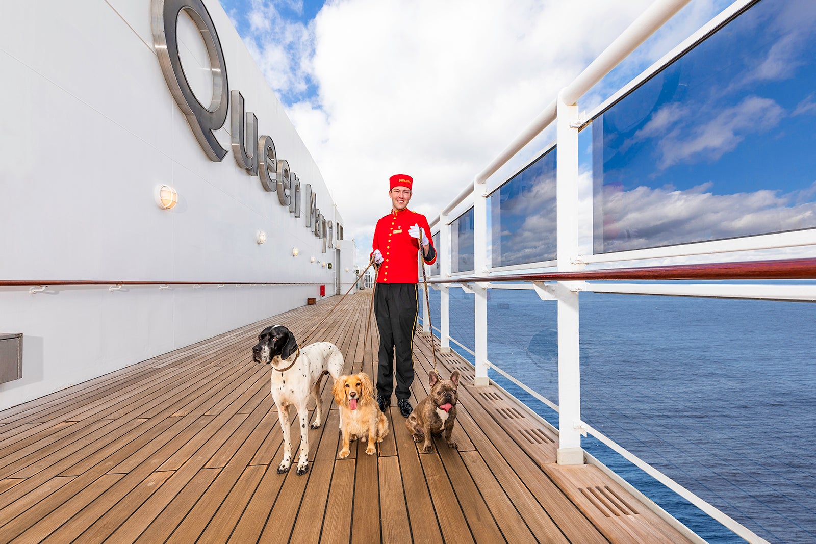 transatlantic cruise with dog