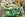 Gator float at the Macy's Thanksgiving Day Parade 2021