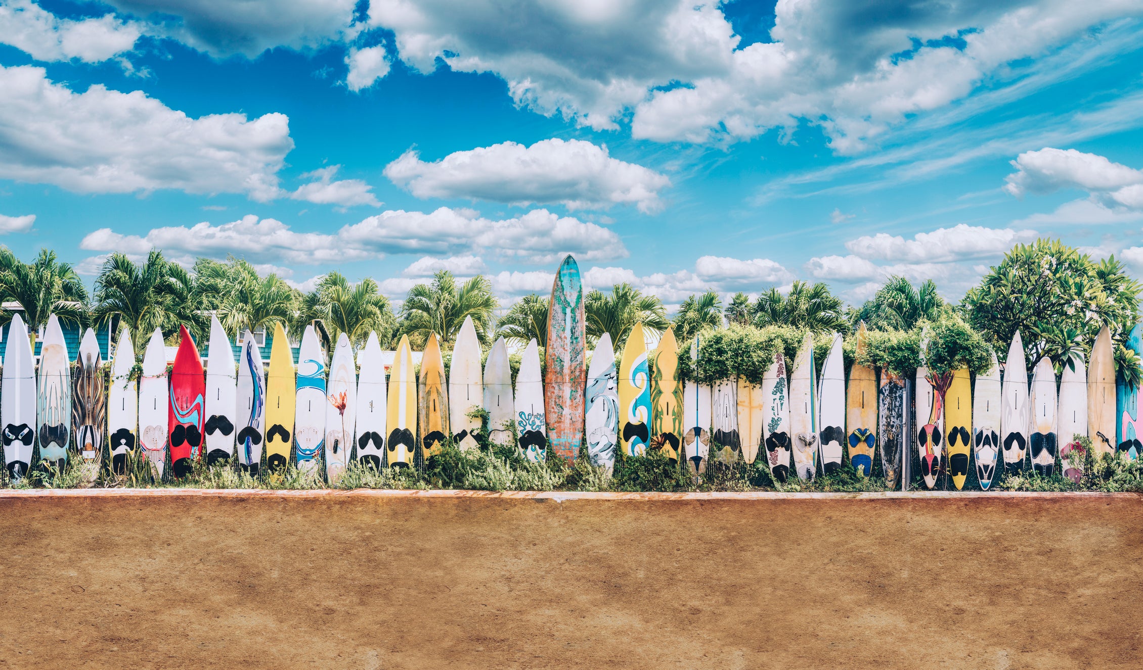 surfboards lined up on Maui beach