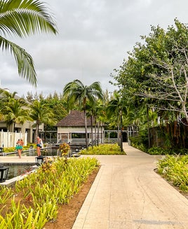 The complete guide to earning Marriott elite status with credit cards