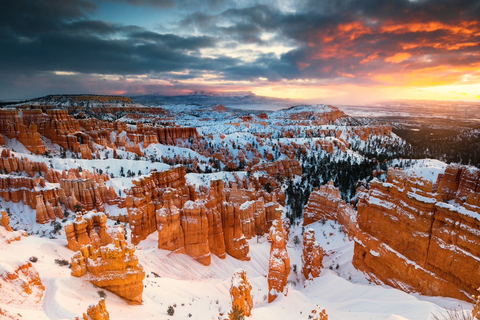 best state parks to visit in january