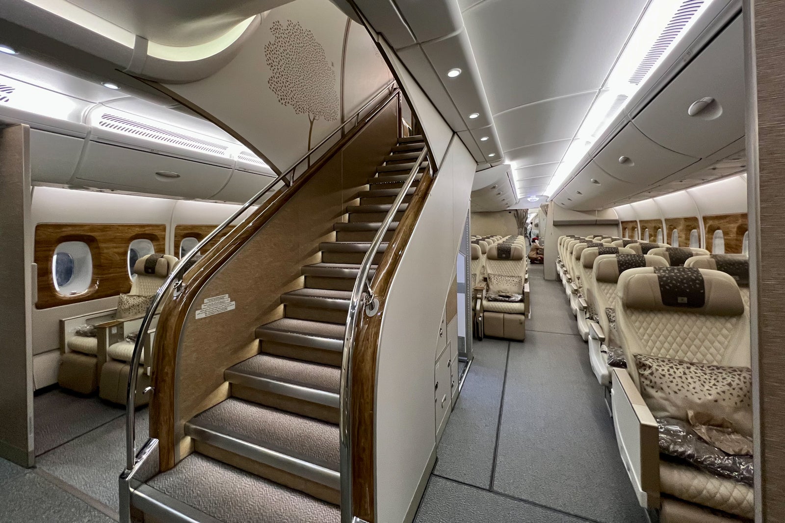 assign Pants Rose Review: Emirates' new premium economy cabin on the Airbus A380