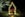 Redding Garden of Lights in Redding, California (Photo credit: Seth McGaha)