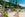 rendering of beach area with chairs and palm tress