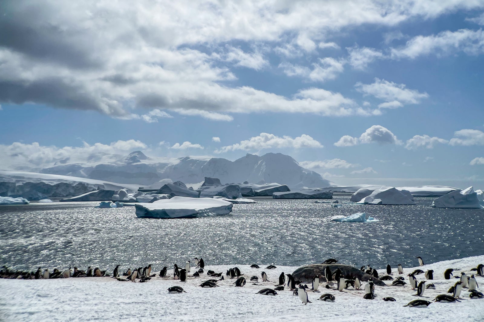 Antarctica gear guide: What you need to pack for a trip to the White Continent