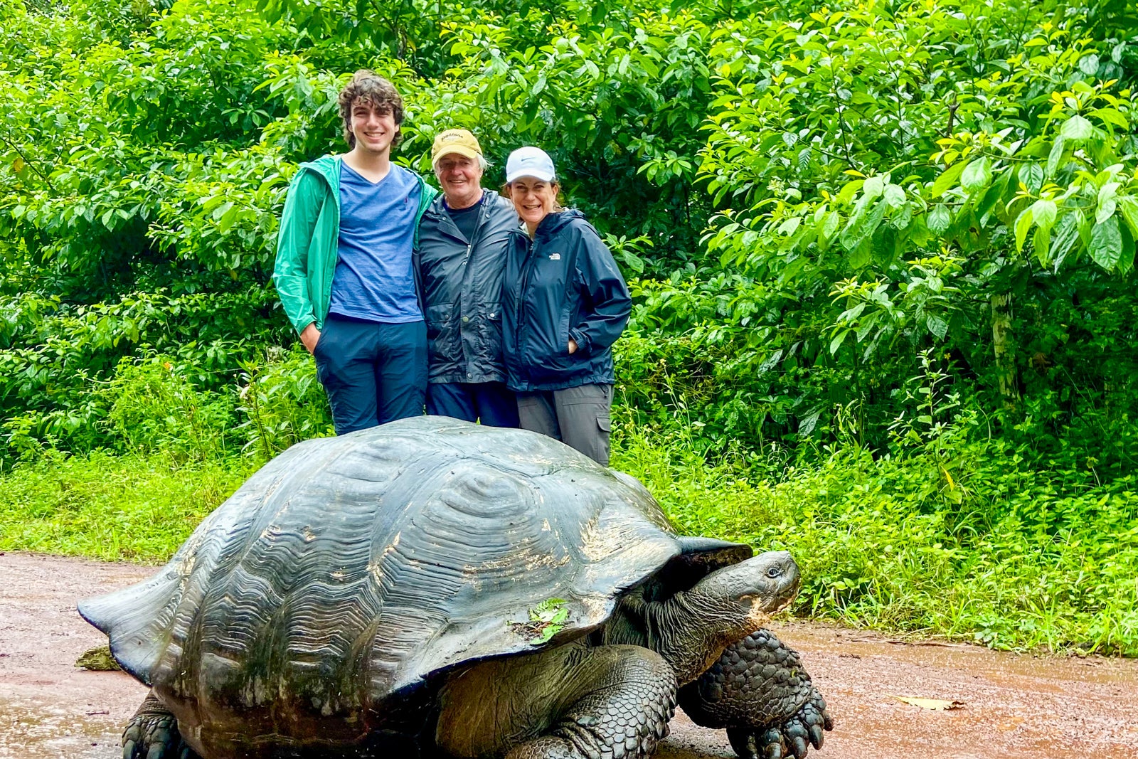 9 things I wish I had known before taking a Galapagos cruise - The ...