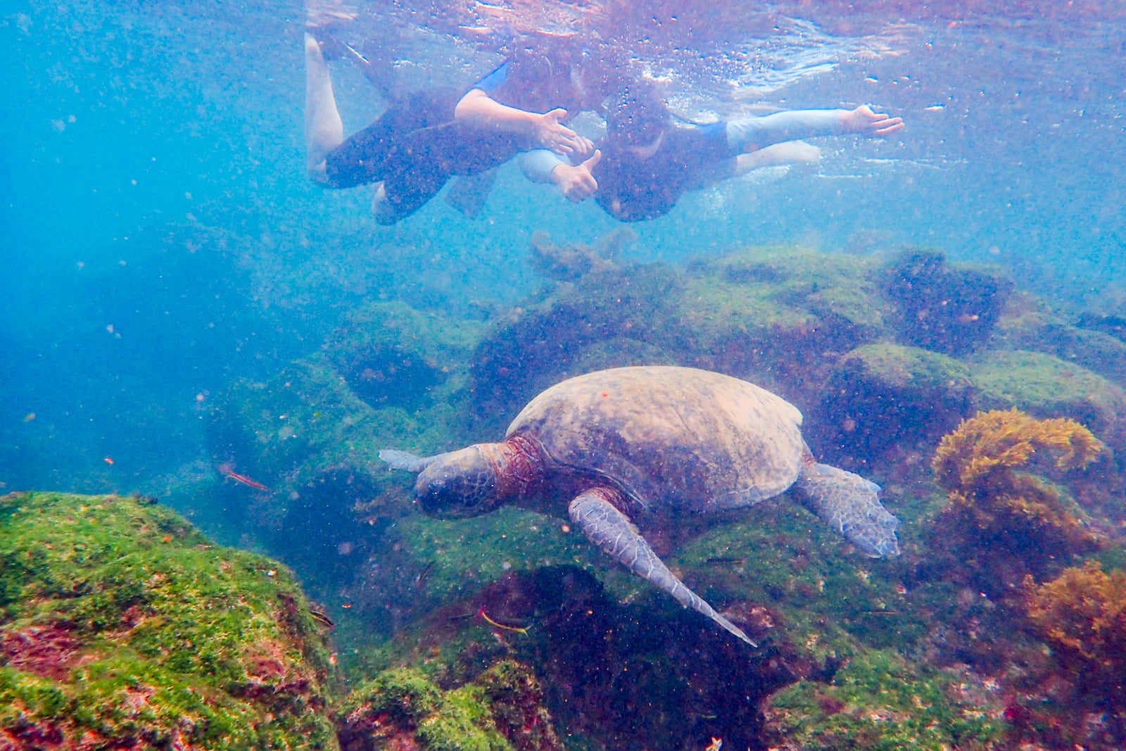 9 things I wish I had known before taking a Galapagos cruise The Points Guy