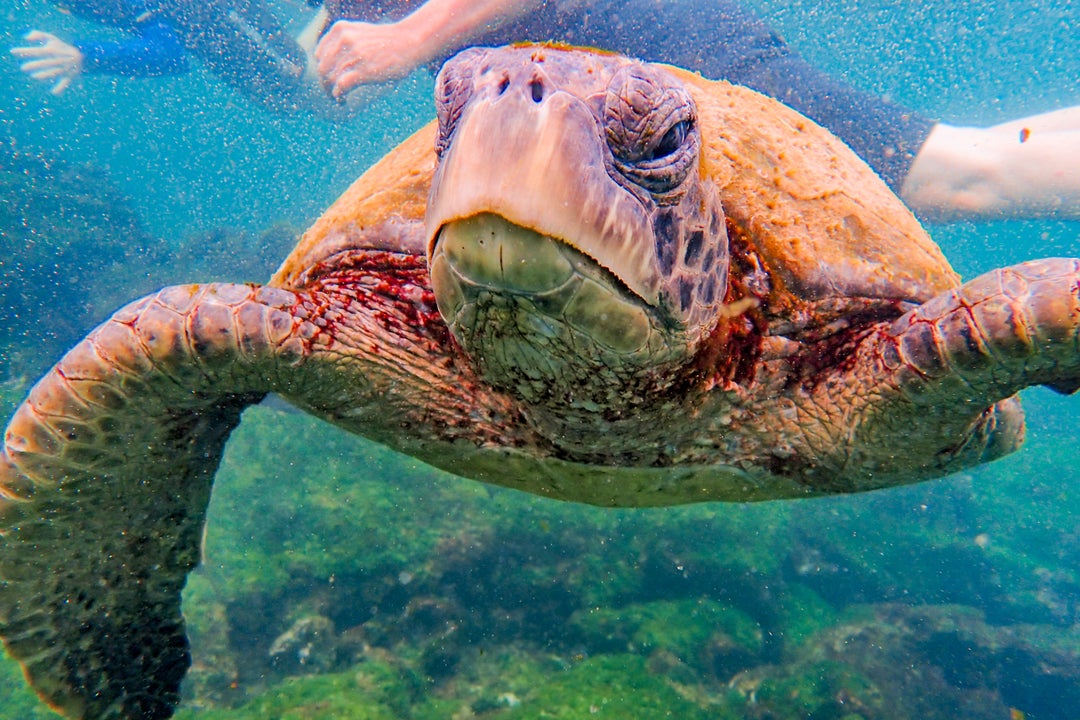 9 things I wish I had known before taking a Galapagos cruise The Points Guy