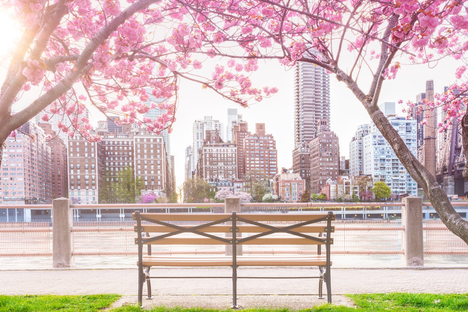 Spring Fever